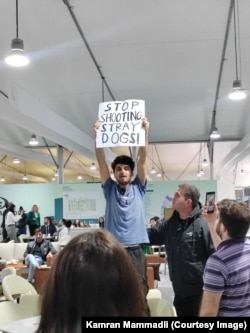 Protestul lui Mammadli din 15 noiembrie, în timpul căruia acesta a declarat: „Autoritățile azere împușcă câinii de pe stradă. Dictatura din Azerbaidjan comite masacre împotriva câinilor vagabonzi de pe stradă”.