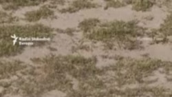 Ukrajina jača proizvodnju dronova, tvrdi da je na nebu jednaka Rusiji