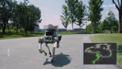 روبوټه د انسانانو ژوند اسانوي که روزګار یې اخلي؟