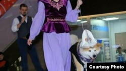 Фото из Интернета. 