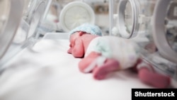 Иллюстративное фото