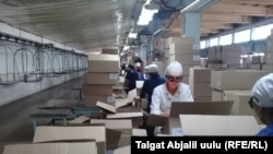 Майлуу-Суудагы лампа заводу.