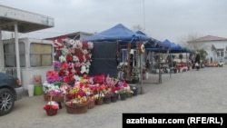 Çoganlynyň gonamçylygy (arhiw suraty) 