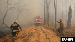 Пожежа в Чорнобильській зоні, 10 квітня 2020 року