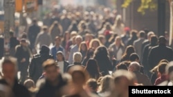 მოსახლეობის 2024 წლის აღწერის მონაცემებით, თბილისში ცხოვრობს ქვეყნის მოსახლეობის 34%