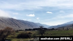 Illýustrasiýa suraty