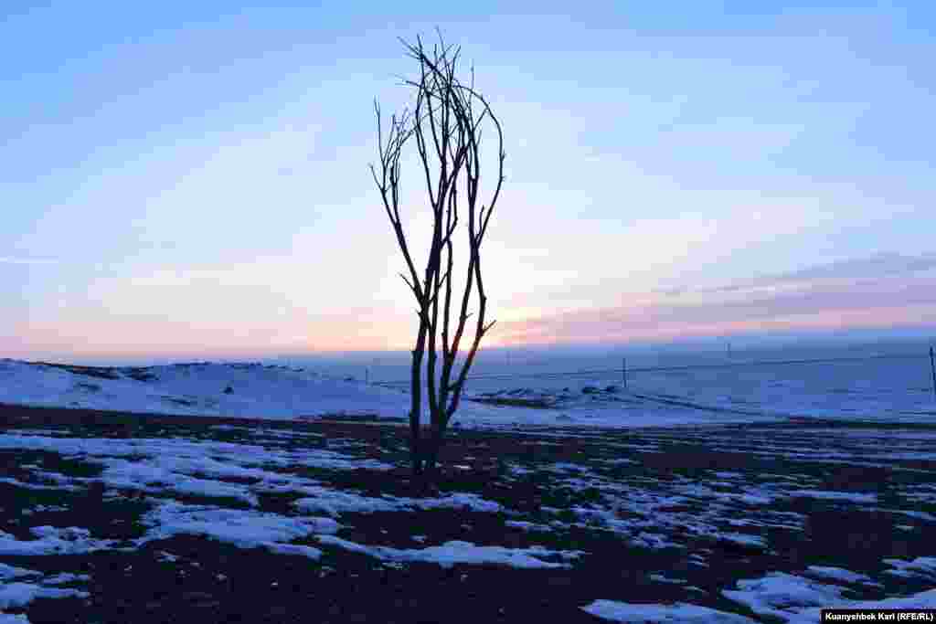 30 жылдай бұрын "Невада-Семей" антиядролық қозғалысы Семей полигоны құрбандарын еске алу үшін тұрғызған қураған ағаш макетінің қазіргі көрінісі.