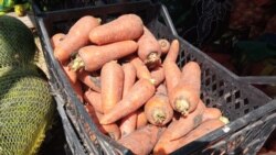 Savo Bakajlić o zaštiti domaće poljoprivredne proizvodnje