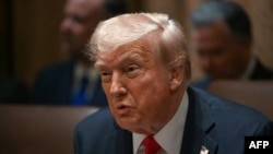 «Ми повинні менше турбуватися про Путіна і більше турбуватися про банди мігрантів-ґвалтівників, наркобаронів, вбивць, які вʼїжджають в нашу країну»