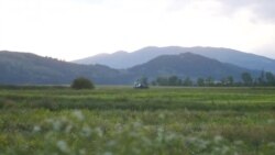 დმანისი: სადაც ორი სამყარო ერთმანეთს ეჯახება