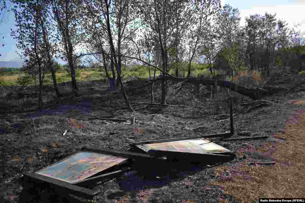 Природниот резерват Езерани беше дом на над 200 видови птици, меѓу кои и најголемата колонија пеликани