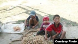 Кыргызстандын төө бурчагы да түрк ишкерлерин кызыктырып жатат