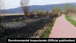 Палење на трски во Струга на брегот на Охридското Езеро. Државен инспекторат за животна средина.