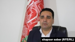 جیلانی فرهاد، سخنگوی والی هرات