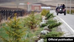 "Жашыл мурас" өнөктүгүнүн алкагында жапырт көчөт тигүү иши жүрүп жатат.  Кыргызстан, Бишкек. (архивдик сүрөт)