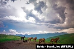 Суусамыр өрөөнү. Иллюстрация сүрөт.