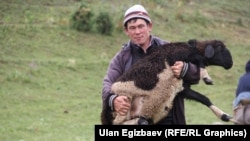 Иллюстрациялык сүрөт. 