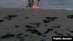 Последствия крушения двух танкеров в Керченском проливе.