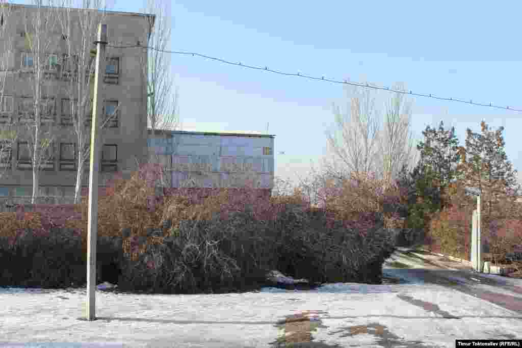 Бул заводдун бир бөлүгүндө лофт "Цех" орун алган