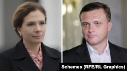 Схоже, що до освоєння бюджетних грошей задля скупівлі карпатських земель на приватні фірми була причетна й родина Льовочкіних