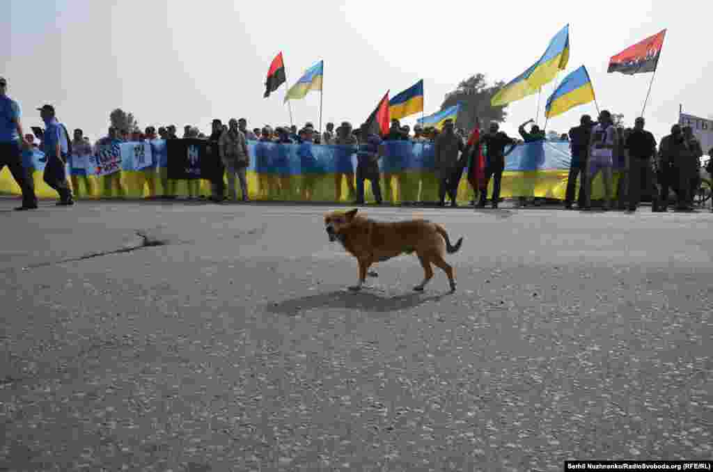 Активісти зустрічали хресну ходу з із синьо-жовтими та червоно-чорними прапорами &nbsp;