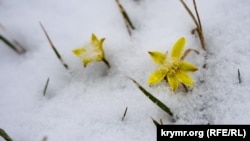 Сніг у Сімферополі, 23 березня 2021 року