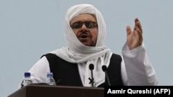 شیخ عبدالباقی حقانی سرپرست وزارت تحصیلات عالی