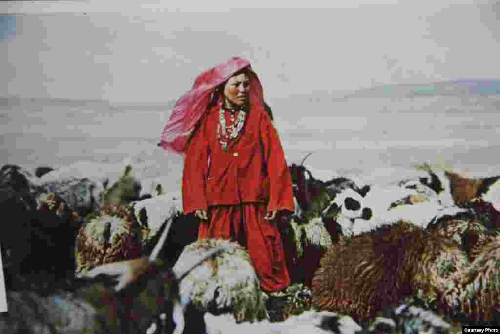 Фото представленные на выставке.&nbsp;