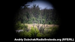 Иллюстратив фото