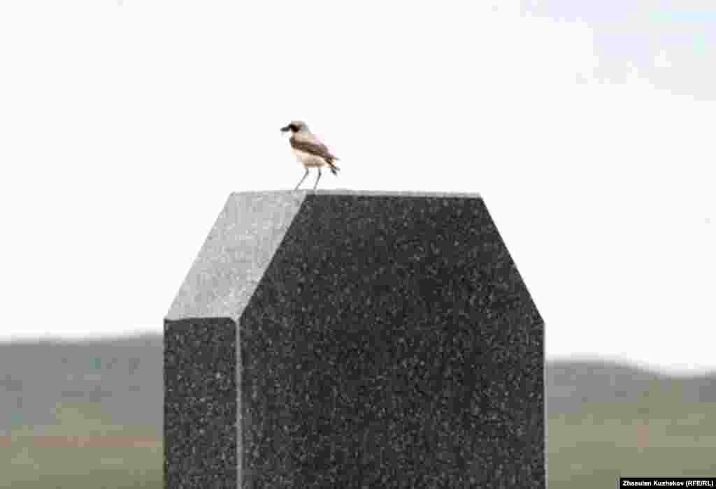 Спасское кладбище военнопленных и репрессированных. Карагандинская область, 31 мая 2011 года.  - Спасское кладбище военнопленных и репрессированных. Карагандинская область, 31 мая 2011 года. 