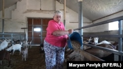 Лариса Гурова годує своїх кіз