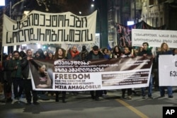 Protesters hold banners calling for the release of jailed journalist Mzia Amaglobeli in Tbilisi on January 29.