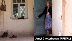 Жайылган айылынан бир көрүнүш.