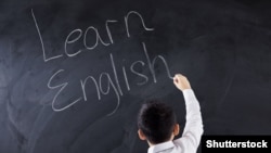 Сокращение часов, как отмечается, не отменяет предмет, ‎а «направлено на поиск оптимального баланса в учебном плане»