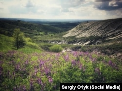 «Крейдяна флора» у 2017-му