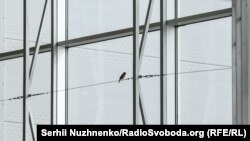 Птахи залітають у зал на останньому поверсі