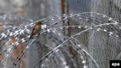 Bodljikava žica u kampu u Idomeniju, 24. ožujka 2016.