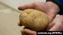 Ілюстрацыйнае фота