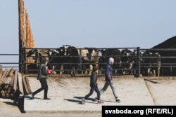 Ілюстрацыйнае фота