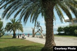 ბიჭვინთა, 2008 წლის ივნისი