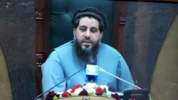 د مشرانو جرګې عمومي رئیس فضل‌الهادي مسلمیار