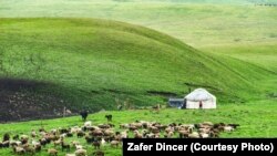 Архивное фото.