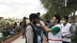 هرات زیر تهدید جدی ویروس کرونا قرار دارد.