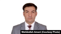 وحیدالله امانی