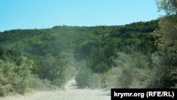 Дорога, ведущая к карьеру в Белогорском районе Крыма, 31 июля 2017 года