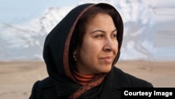 شینکی کروخیل