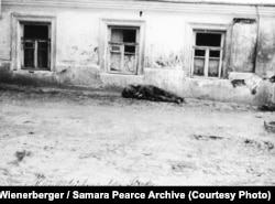 «Труп загиблого від голоду на вулиці» (авторський підпис). Харків, 1933 рік. У правому верхньому куті фото можна побачити табличку із російськомовною назвою вулиці ‒ «Криничный переулок». Ця вуличка відома ще з 1870 року. Її назва походить від джерела (криниці) Свято-Пантелеймонівської церкви. Провулок був забудований переважно приватними одно-двоповерховими будинками. «Криничний провулок», довжиною лише 140 метрів, досі існує у центрі Харкова. Фото Александра Вінербергера. Публікується вперше в оригінальному вигляді. Надано власником авторських прав Самарою Пірс