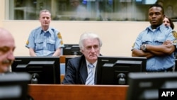 როდოვან კარაჯიჩი სასამართლოს სკამზე. ნიდერლანდი, 2016 წელი