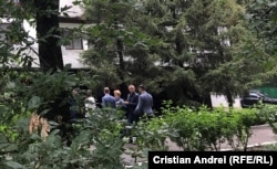 Remanierea din pădure