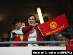 Футбольные фанаты.